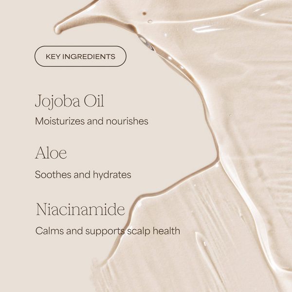 Raw Sugar The Scalp Restore Shampoo - Jojoba + Aloe - 16 fl oz
