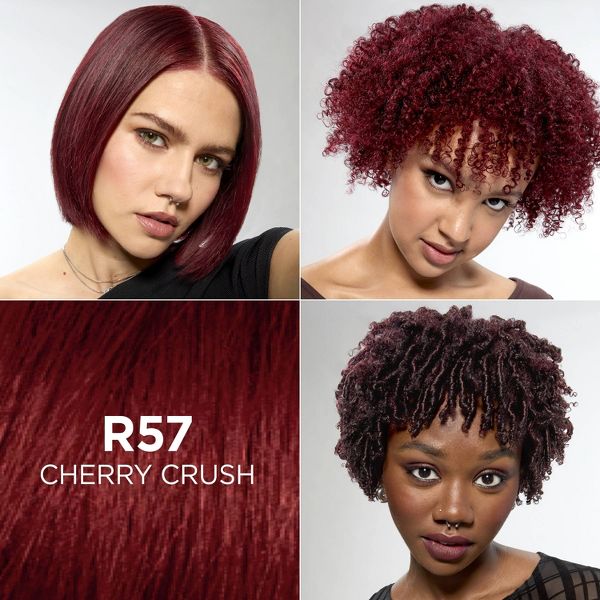 L'Oreal Paris Feria High Intensity Shimmering Color Power Red - R48 Intense Deep Auburn - 1 Kit