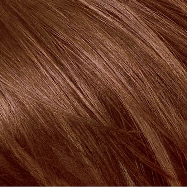 L'Oreal Paris Excellence Triple Protection Permanent Hair Color - 6.3 fl oz - 4AR Dark Chocolate Brown - Aluminum & Paraben Free