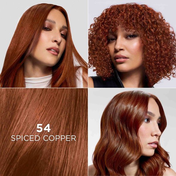 L'Oreal Paris Feria High Intensity Shimmering Color Power Red - R48 Intense Deep Auburn - 1 Kit