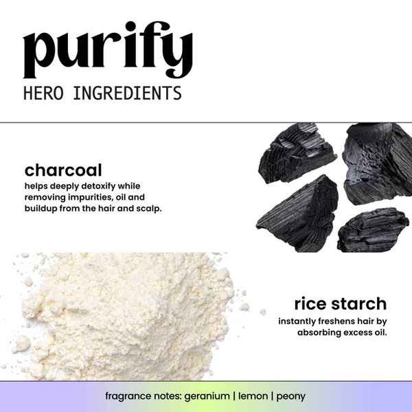 Hask Purify + Charcoal Dry Shampoo - 4.3oz