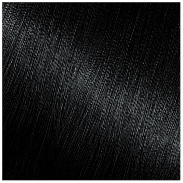 Garnier Nutrisse Nourishing Permanent Hair Color Creme - 10 Black: Vegan Formula with Argan & Coconut Oil, Includes Applicator & Gloves