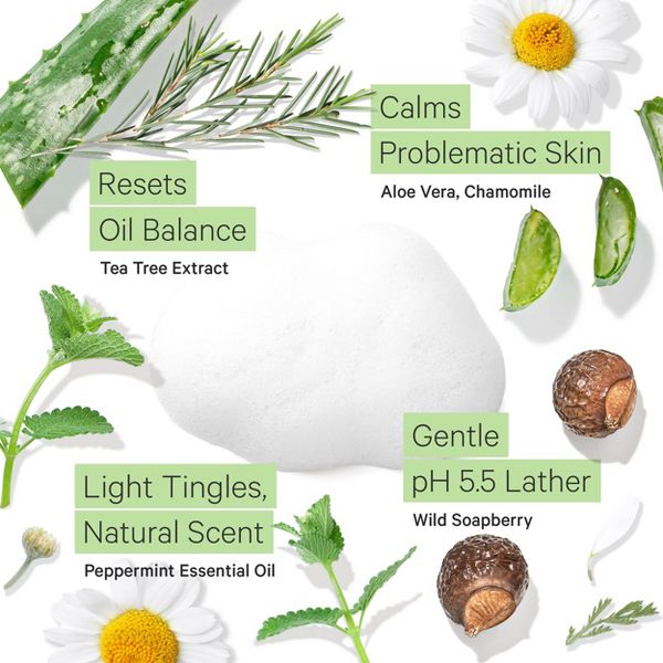 Tree To Tub Sensitive Skin Face Wash for Oily Combination Skin - Gentle Tea Tree Face Cleanser for Women & Men, All Natural Peppermint Facial Cleanser