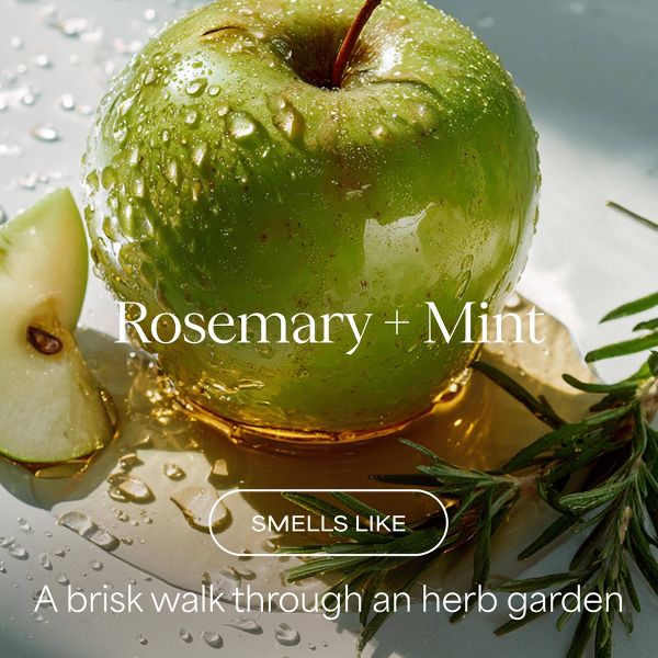 Raw Sugar The Rosemary Vinegar Rinse Shampoo Alternative - Rosemary + Mint - 6 fl oz