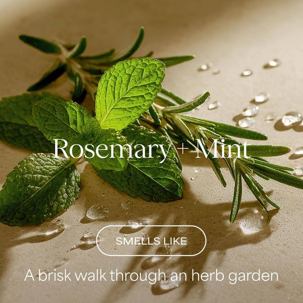 Raw Sugar The Oil Remedy Shampoo - Rosemary + Mint - 16 fl oz