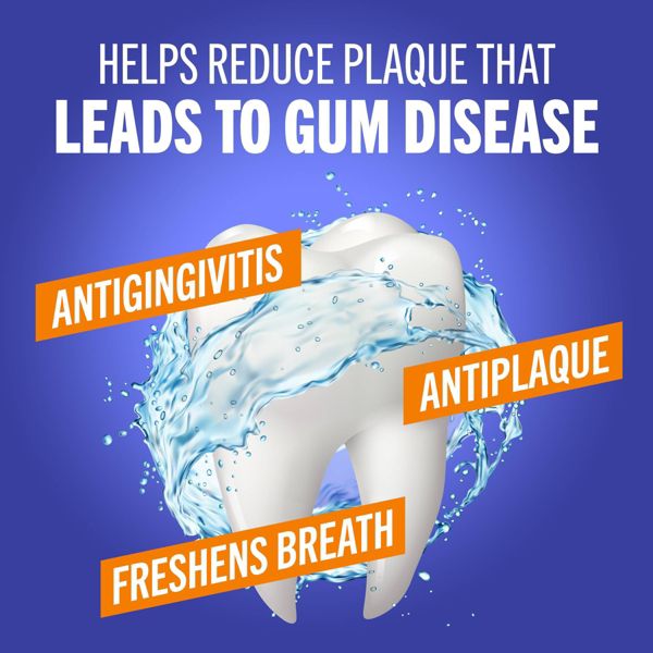 TheraBreath Healthy Gums Mouthwash Antigingivitis - Clean Mint - 16 fl oz