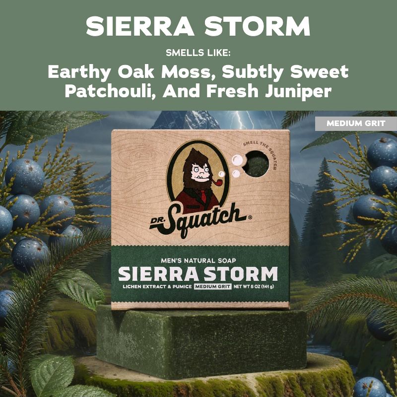 DR. SQUATCH Men's All Natural Bar Soap - Sierra Storm - 5oz