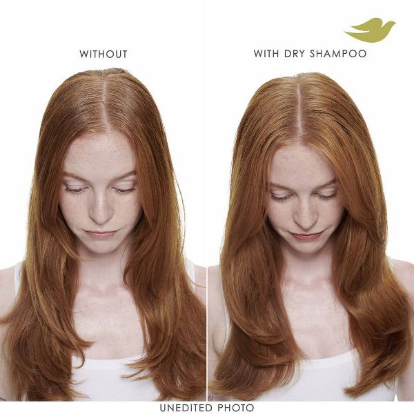 Dove Beauty Refresh + Care Volume & Fullness Dry Shampoo - 7.3oz