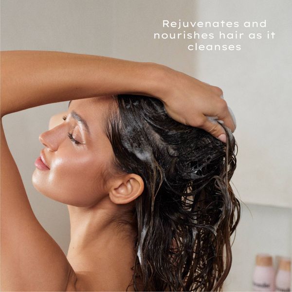 Being Frenshe Restore Shampoo - Lavender Cloud - 16 fl oz