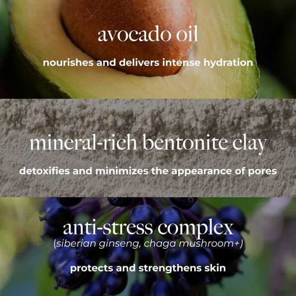 Borghese Advanced Fango Active Mud for Face and Body Detoxifying Masks - 7.5oz - Beauty Studio
