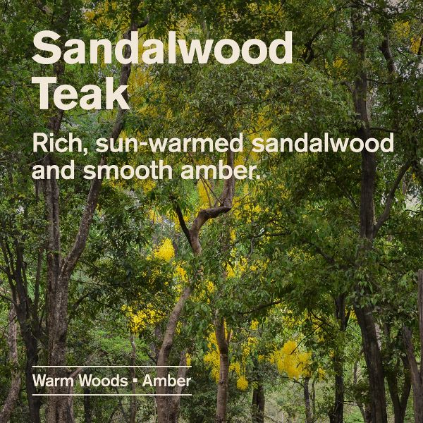 Every Man Jack Sandalwood Teak Hydrating Men's Body Wash - 16.9 fl oz