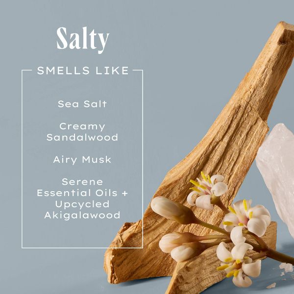 Being Frenshe Renewing Body Wash - Salty - 14 fl oz