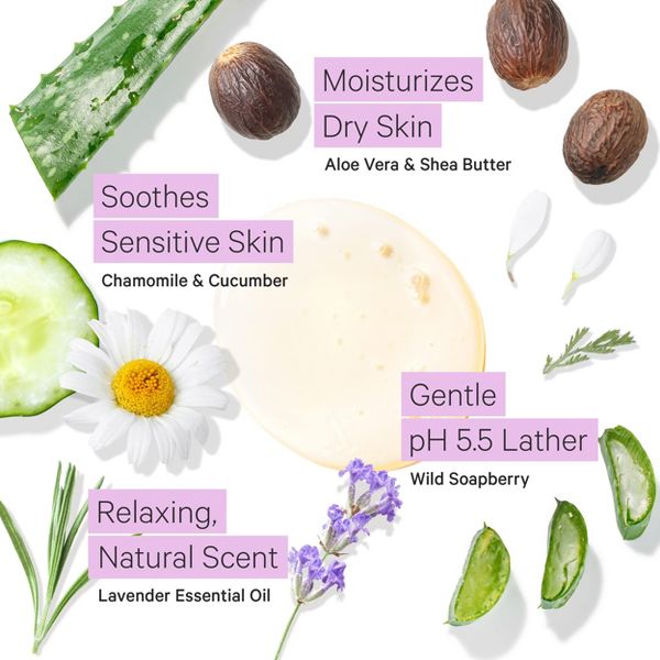 Tree To Tub Lavender Body Wash for Sensitive Skin & Dry Skin - ph-Balanced Moisturizing Body Wash, Sulfate Free Vegan Body Soap for Women & Men