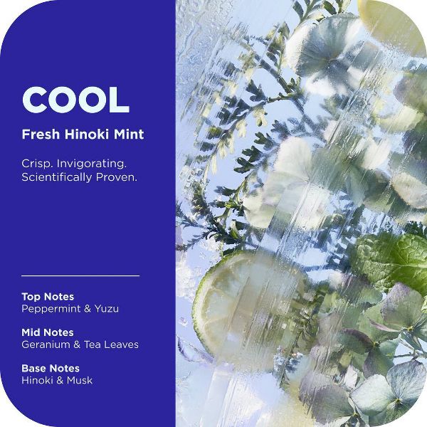 OLLY Cool Mood and Skin Vitamin-Infused Body Wash - Fresh Hinoki Mint - 17 fl oz