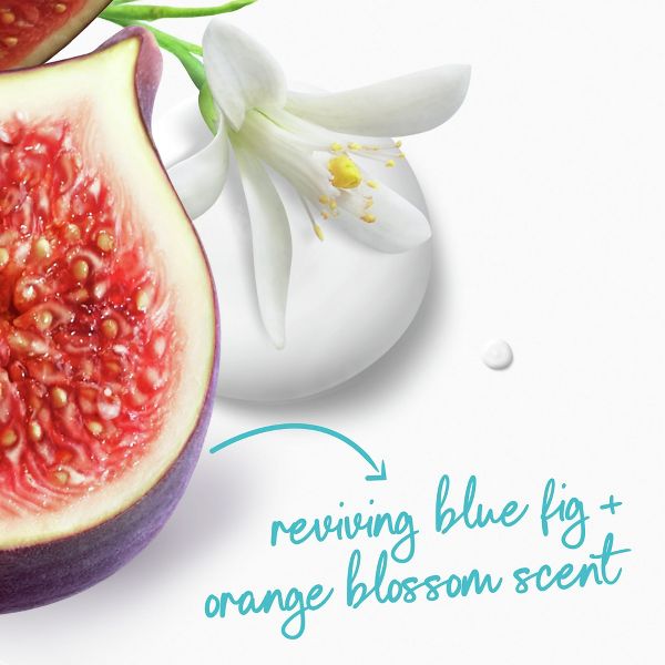 Dove Body Wash Reviving Blue Fig & Orange Blossom, 20 oz