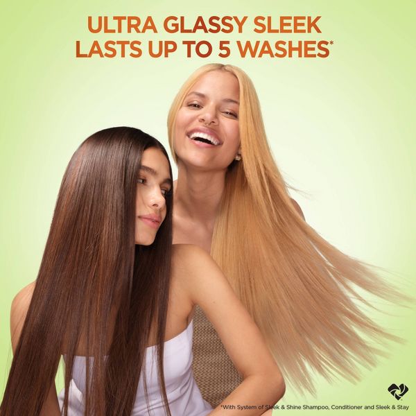 Garnier Fructis Sleek & Shine Moroccan Sleek Oil Treatment - 3.75 fl oz