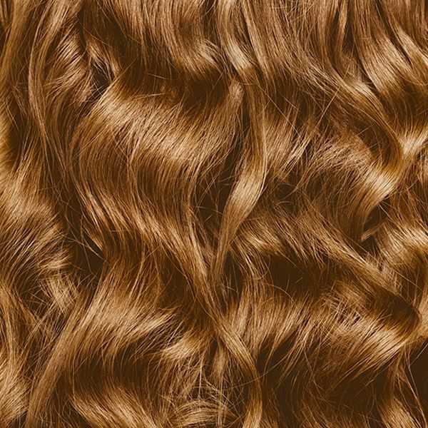 Garnier Nutrisse Curls Permanent Hair Color - CR1 - Glossy Black: Hair Coloring, Contains Vitamin E, With Argan Oil, Includes Conditioner