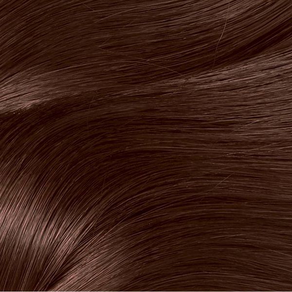 L'Oreal Paris Excellence Triple Protection Permanent Hair Color - 6.3 fl oz - 4AR Dark Chocolate Brown - Aluminum & Paraben Free