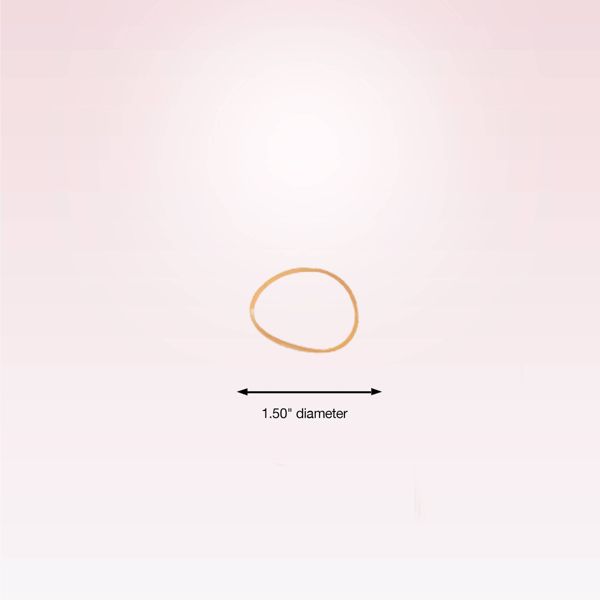 scünci Polybands and Reusable Pouch - Neutrals - All Hair - 450pcs: Hair Styling, TPU Elastics
