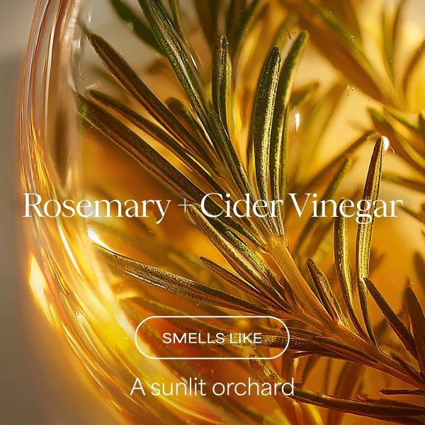 Raw Sugar The Mighty Curl Shampoo - Rosemary + Cider Vinegar - 16 fl oz