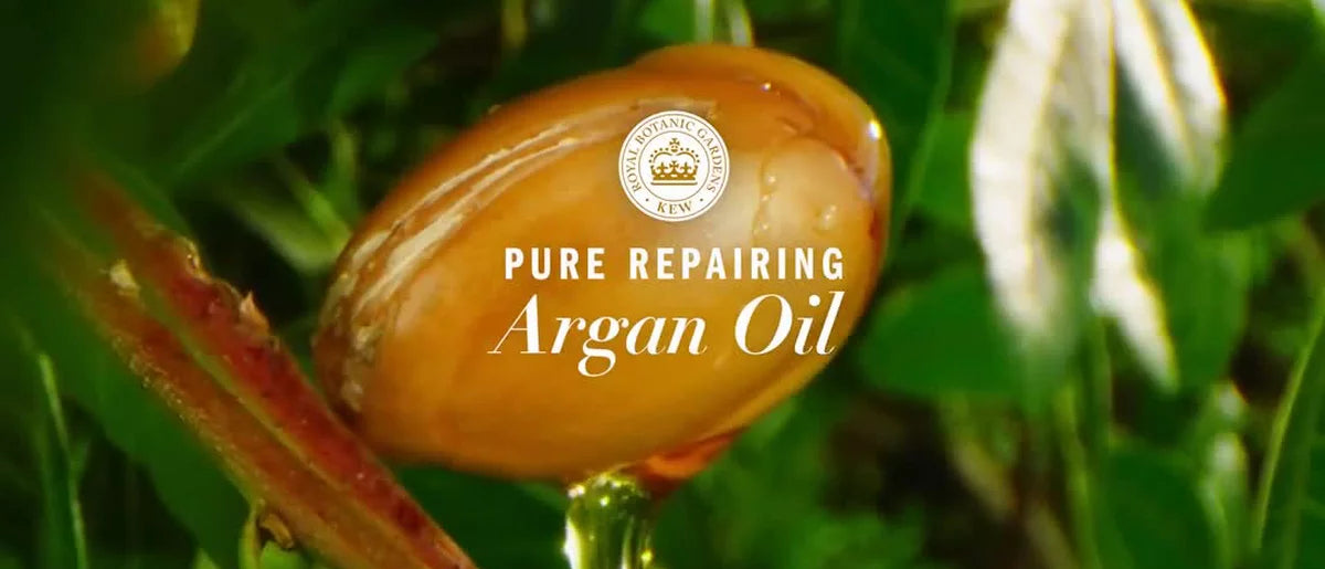 Herbal Essences Pure Plants Blend Argan Oil Repairing Color-Safe Shampoo/Conditioner Dual Pack - 13.5 fl oz/2ct