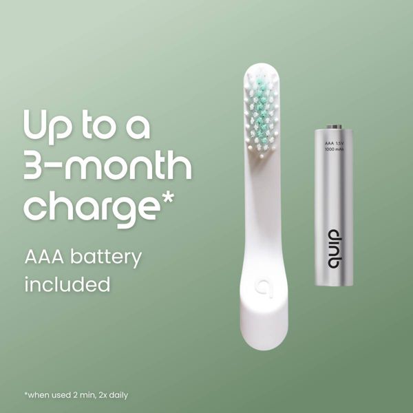 quip Plastic Electric Toothbrush - Pink