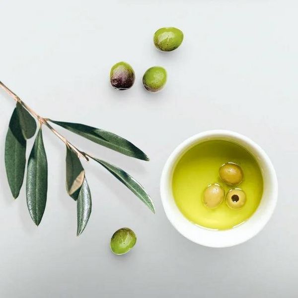 ECO STYLE Professional Olive Styling Gel - 16 fl oz