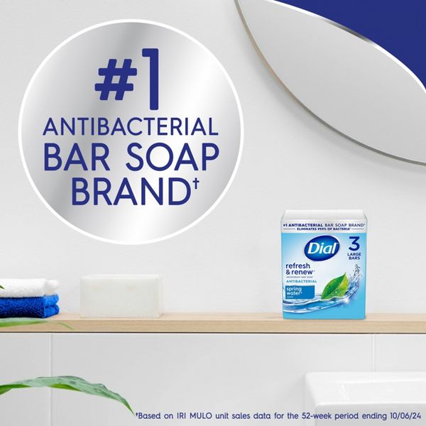 Dial Refresh & Renew Spring Water Antibacterial Bar Soap - 4oz/12pk