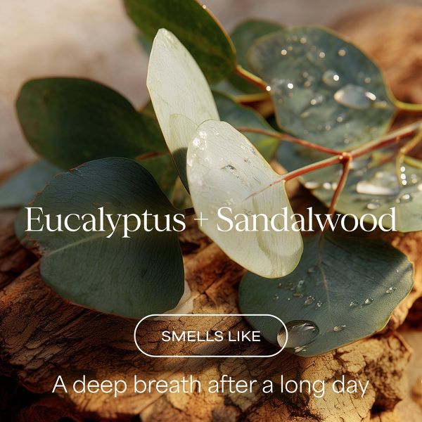 Raw Sugar Gentle and Hydrating Body Wash - Eucalyptus Sandalwood Boost - 20 fl oz