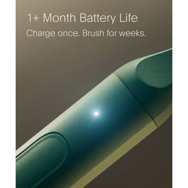 SURI 2.0 Sonic Electric Toothbrush with UV Travel Case and Brush Head - Winter Fern