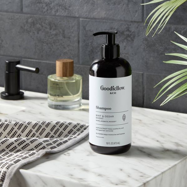 Moroccan Mint & Cedar Shampoo - 16 fl oz - Goodfellow & Co™