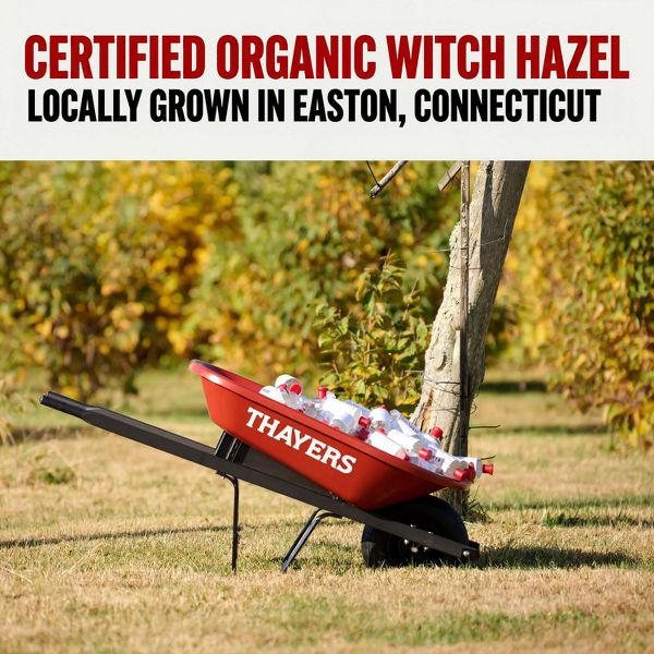 Thayers Natural Remedies Witch Hazel Alcohol Free Toner with Cucumber - 12 fl oz
