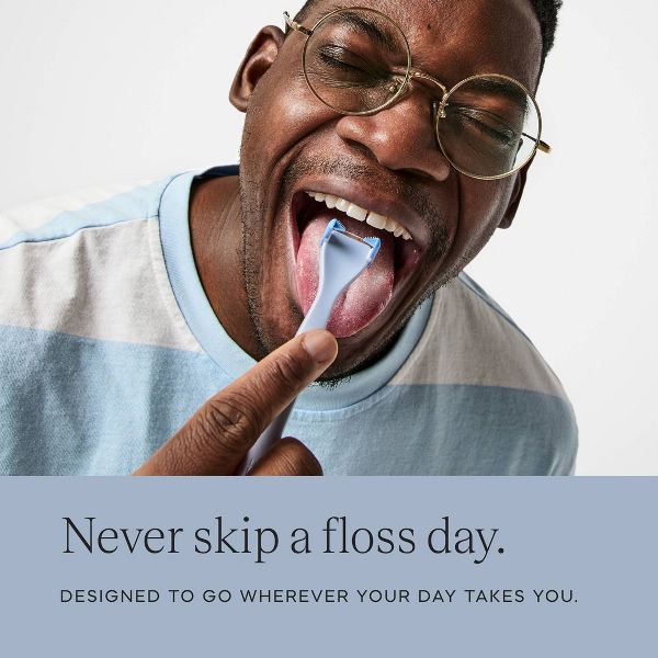 Slate Flosser Mini Flosser with 2 Floss Heads