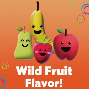 DenTek Kids' Fun Flossers Floss Picks - Wild Fruit - 90ct