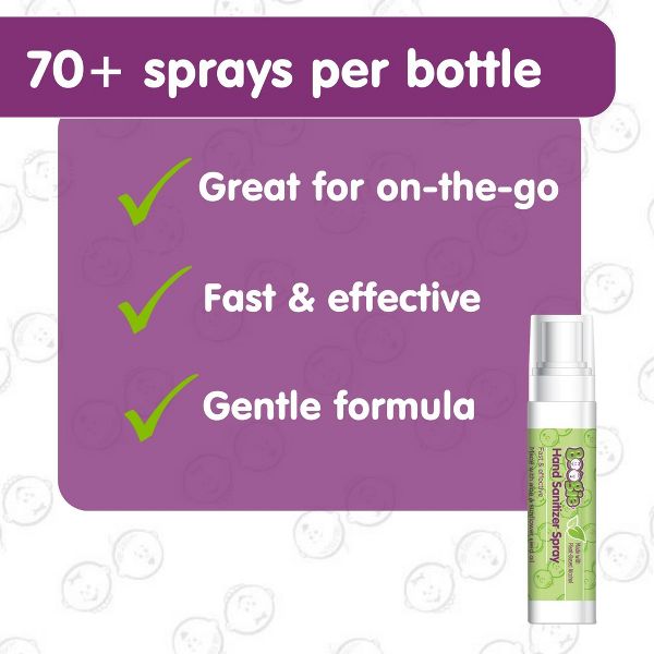 Boogie Wipes Antibacterial Hand Sanitizer Spray for Kids' and Adults - 2ct