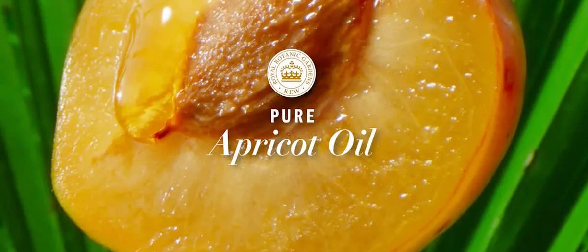 Herbal Essences Apricot Oil Curl Defining Shampoo Sulfate Free - 13.5 fl oz