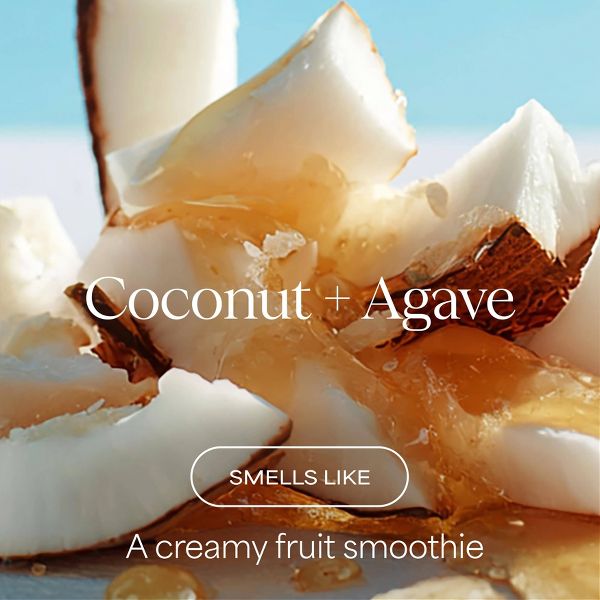 Raw Sugar The Moisture Smoothie Shampoo - Coconut + Agave - 16 fl oz