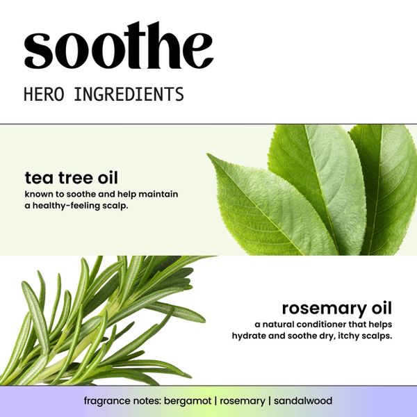 Hask Soothe + Tea Tree Oil Scalp Care Shampoo - 16oz