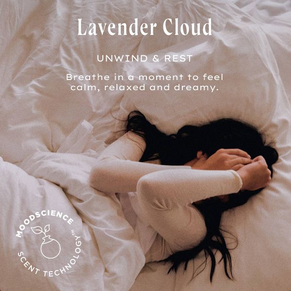 Being Frenshe Renewing and Hydrating Clean Body Wash with Niacinamide - Floral Lavender Cloud - 14 fl oz