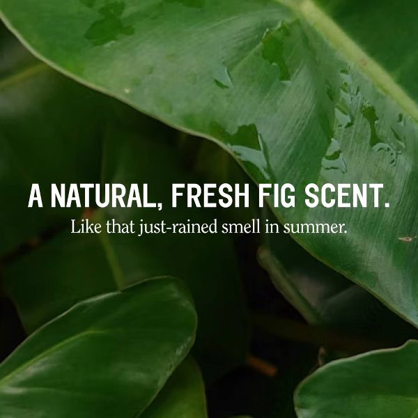 California Naturals Super Moisture Body Wash - 16.5 fl oz