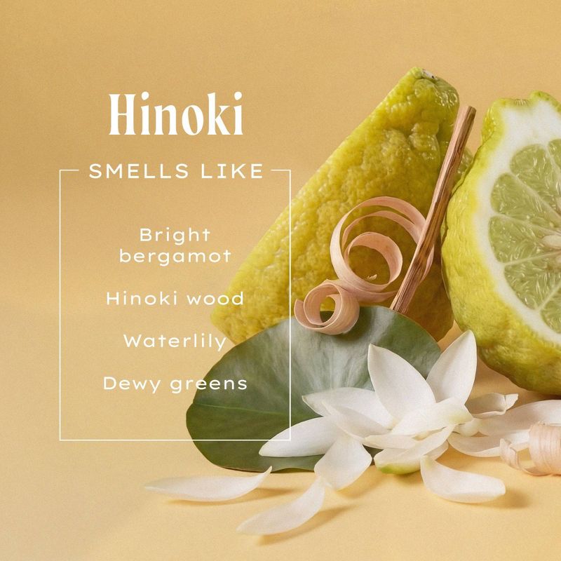 Being Frenshe Hinoki Renewing Body Wash - Hydrating Shower Gel with Aloe Vera + Niacinamide - 14 fl oz