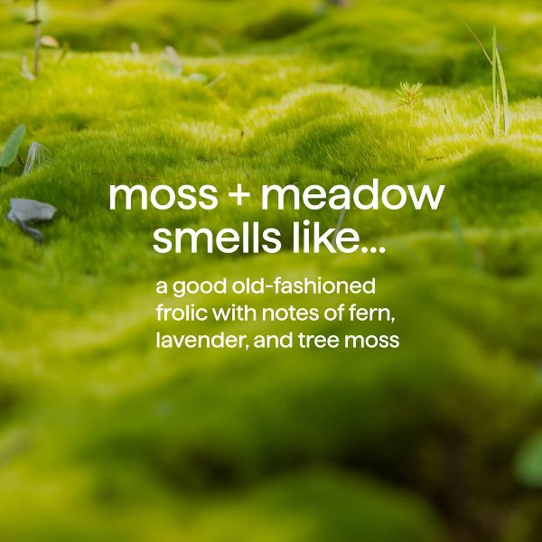 Method Men's Body Wash - Moss and Meadow - 18 fl oz