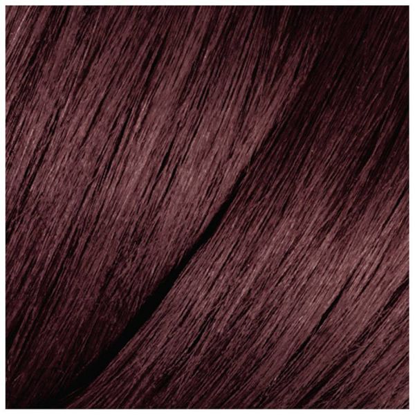 L'Oreal Paris Feria High Intensity Shimmering Color Power Red - R48 Intense Deep Auburn - 1 Kit