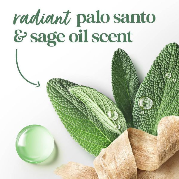 Dove Beauty Body Scrub - Palo Santo + Sage Oil - 15oz