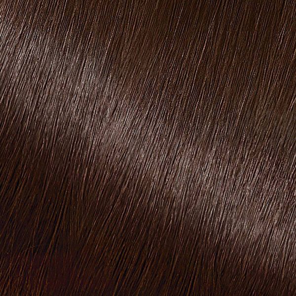 Garnier Nutrisse Nourishing Permanent Hair Color Creme - 40 Dark Brown