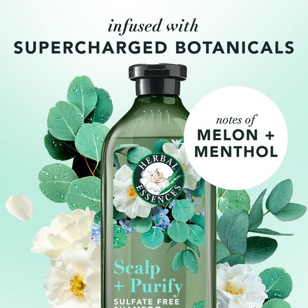 Herbal Essences Eucalyptus Dual Pack - 13.5 each