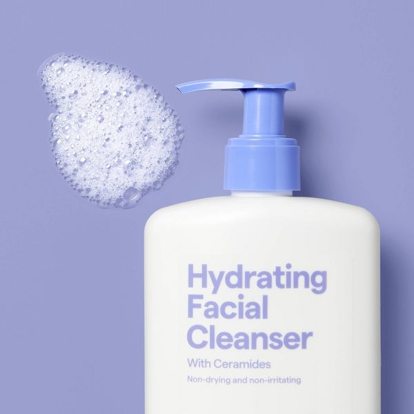 Hydrating Facial Cleanser with Ceramides - Normal to Dry Skin/Sensitive - 12fl oz - up&up™