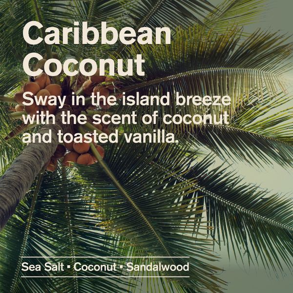 Every Man Jack Naturally Derived Men's Medium Grit with Sand Exfoliating Body Wash - Caribbean Coconut - 14 fl oz