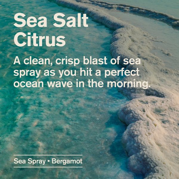 Every Man Jack Sea Salt + Citrus Hydrating Naturally Derived Men's Body Wash - 16.9 fl oz